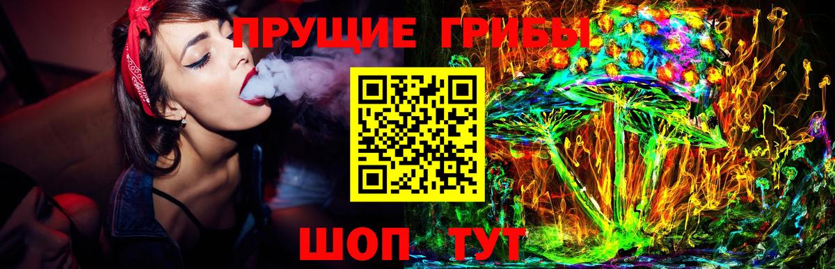Псилоцибиновые грибы MAGIC MUSHROOMS  Вход с VPN  Благодарный 