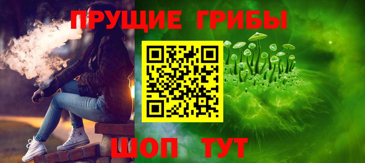 Галлюциногенные грибы Psilocybine cubensis Благодарный